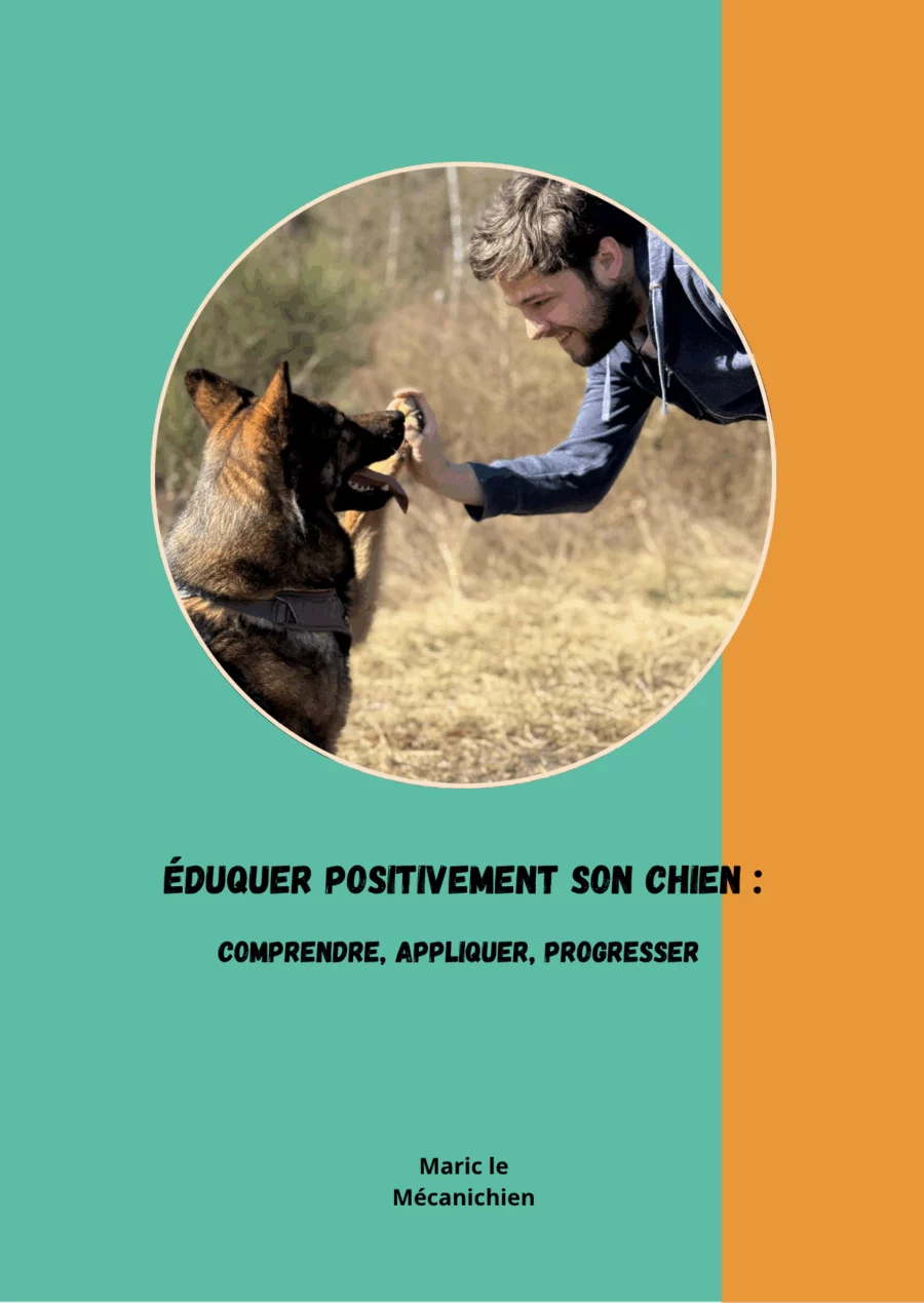 Couverture de l'ebook n°1